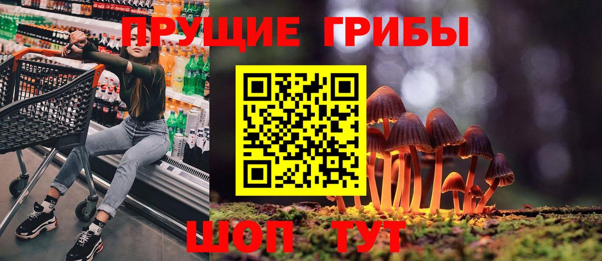 Каменск-Шахтинский  Галлюциногенные грибы Cubensis  Галлюциногенные грибы Psilocybe  Вход с VPN 